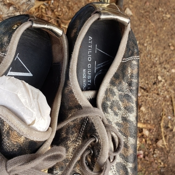 Agl Attilio Giusti Leombruni‎  Gray Agl 'Reso - Picture 4 of 6